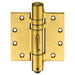 double spring hinge