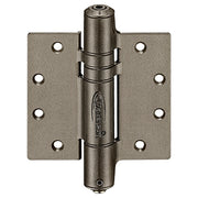 double spring hinge
