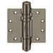 double spring hinge